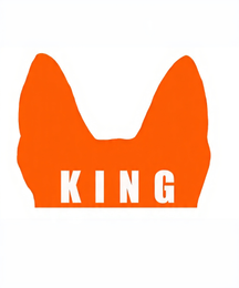 KING logo