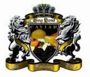 KING DAVID CAVIAR logo