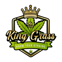KING GRASS logo