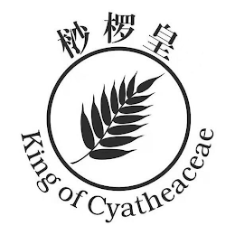 KING OF CYATHEACEAE logo