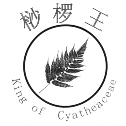 KING OF CYATHEACEAE logo