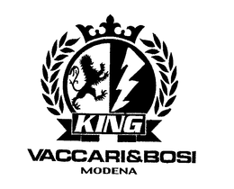 KING VACCARI&BOSI MODENA logo