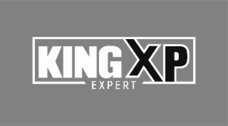 KING XP EXPERT logo