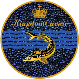 KINGDOMCAVIAR logo