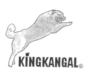 KINGKANGAL logo