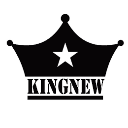 KINGNEW logo