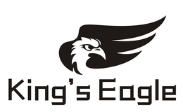KING'S EAGLE logo