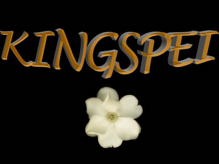 KINGSPEI logo