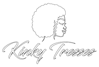 KINKY TRESSES logo