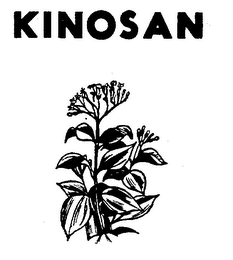 KINOSAN logo