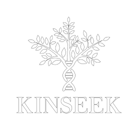 KINSEEK logo