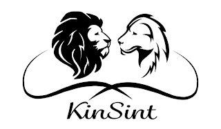 KINSINT logo