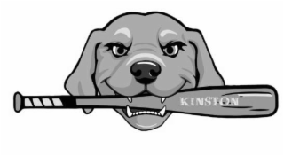 KINSTON logo