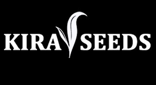 KIRA SEEDS