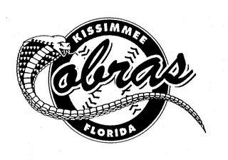 KISSIMMEE COBRAS FLORIDA logo