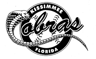 KISSIMMEE COBRAS FLORIDA logo