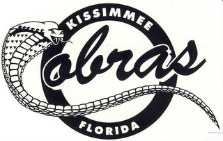KISSIMMEE FLORIDA COBRAS logo