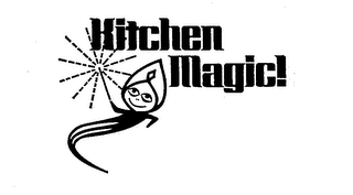 KITCHEN MAGIC! logo