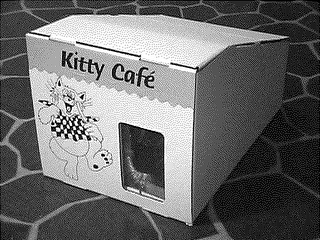 KITTY CAFE' logo