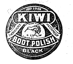 KIWI logo