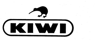 KIWI logo