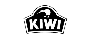 KIWI logo