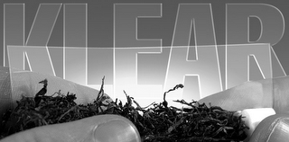 KLEAR logo
