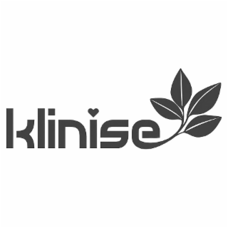 KLINISE logo