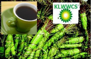 KLWWCS logo
