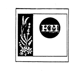KM logo