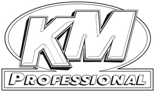 KM PROFESSIONAL logo