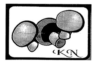 KN logo