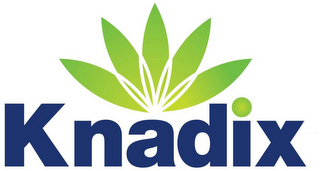 KNADIX logo