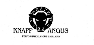 KNAPP ANGUS PERFORMANCE ANGUS BREEDERS logo