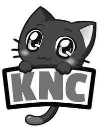 KNC logo