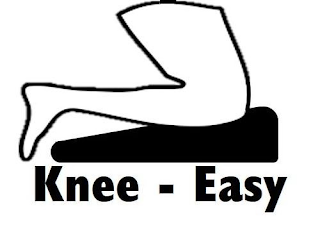 KNEE-EASY logo