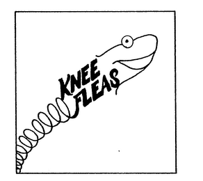 KNEE FLEAS logo