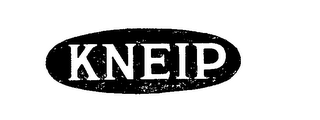 KNEIP logo