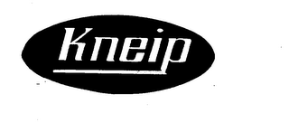 KNEIP logo