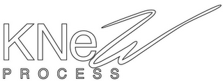 KNEW PROCESS logo