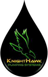 KNIGHTHAWK PUMPING SYSTEMS logo