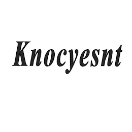 KNOCYESNT logo