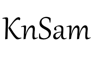 KNSAM logo