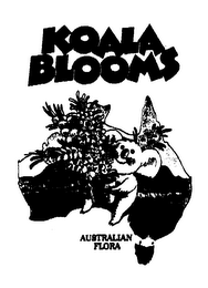 KOALA BLOOMS AUSTRALIAN FLORA logo