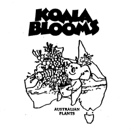 KOALA BLOOMS AUSTRALIAN PLANTS logo