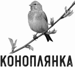 KOHONARHKA logo
