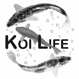 KOI LIFE logo