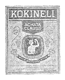 KOKINELI (PLUS OTHER NOTATIONS) logo