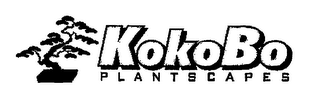 KOKOBO PLANTSCAPES logo
