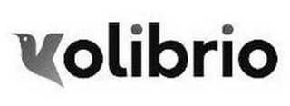 KOLIBRIO logo